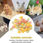 Abizoo 3 Vegetable Chews Treats: Grain Free Natural Snacks with Beet, Carrot, Spinach for Hamsters, Rabbits, Guinea Pigs & Gerbils Crunchy for Digestive Support & Dental Health 1.76oz/50g