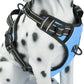 PoyPet No Pull Dog Harness, Reflective Comfortable Vest Harness with Front & Back 2 Leash Attachments and Easy Control Handle Adjustable Soft Padded Pet Vest for Small to Large Dogs (Light Blue,XL)