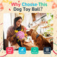 QDAN Dog Birthday Toys, Squeaky Dogs Toys, Dog Soccer Ball with Straps, Puppy Gifts, Herding Balls with Bell Inside, Water Toy, Durable Ropes Ball for Medium Large Dogs (8 inch)