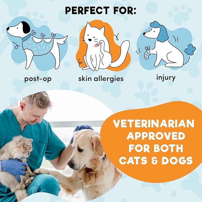 BENCMATE Inflatable Dog Cone Collar Alternative, Soft Dog Cone for Small Medium Large Dogs and Cats, Neck Recovery ECollar Donut Collar After Surgery (XLarge, Rainbow)