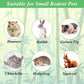 1000g/2.2lb Bamboo Chews for Rabbits, Rabbit Sticks Rabbit Chew Toys Bunny Chew Toys, Molar Treats for Small Animals, Hamsters, Chinchillas, Guinea Pigs, Natural Teeth Grinding Toys