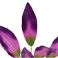 Silk Aquarium Plants for Betta Fish Tank, 2 Pcs 8 Inch Small Silk Aquarium Plant Aquatic Water Grass Decoration, Purple