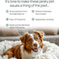 pawTree Chillax - Natural Calming Hemp Chews. Veterinarian-Developed Formula Helps Relieve Stress and Tension, Separation Anxiety and Soothe Fear from Storms - Large Soft Chews for Dogs (60 Count)