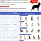 Soft Dog Cone Collar After Surgery Alternative for Dogs to Stop Licking, Comfy Collars for Large/Medium/Small Pet, Comfortable Elizabethan Neuter Recovery E Cones of Shame Neck & Head Ecollars