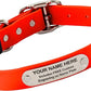 Biothane Custom Dog Collar – Waterproof, Stink-Proof Personalized Collar with Name & Phone Number – Durable, Many Sizes and Colors – Assembled in USA (Hunter Orange)