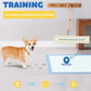 100-Pack X-Large Puppy Pads - 34'' x 28'' Pee Pads for Dogs Potty Training with Leak-Proof Quick-Dry Design, 6-Layer Wee Wee Pads for Dogs, Blue