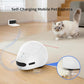 Cat Camera with Interactive Pointer Toy, Moving Robot for Dog and Cat, Mobile Pet Camera Treat Dispenser with Phone App, Auto Recharging and Night Vision, Two-Way Audio (2.4G Wi-Fi Only)