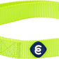 Blueberry Pet Essentials Matching Adjustable & Durable Classic Solid Color Nylon Dog Collars for Medium Dogs | Highlighter Yellow Collar Medium Girl and Boy Dogs for Pet Owner