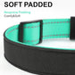 TagME Airtag Dog Collar,Waterproof Reflective Pet Collar with Airtag Holder,Soft Padded and Double D-Rings for Medium Dogs,Turquoise