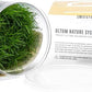 Ultum Nature Systems Mini Dwarf Hair Grass Eleocharis Parvulus Tissue Culture Live Plant for Aquarium, Aquascape, Freshwater Fish Tanks - 100% Snail Free in Vitro