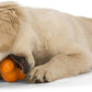 West Paw Zogoflex Tux Interactive Treat Dispensing Dog Chew Toy for Aggressive Chewers, 100% Guaranteed Tough, It Floats!, Made in USA, Small, Tangerine