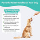 ALFIE'S TREATOS Tuna for Dogs & Cats (2.65 oz), Air-Dried Dog Treats, Omega-3 Food Topper & Training Reward, Australian Wild-Caught, Single Ingredient, Freeze-Dried Alternative