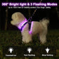 Light Up Dog Harness,Rechargeable LED Dog Harness for Small Medium Large Dogs,Reflective Lighted Safety Vest for Night Walking & Camping,Lightweight & Adjustable,Purple,M