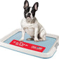 IRIS USA Pee Pad Holder - For Small Sized Dog and Puppy Pee Pads, Secured Latches, Non-Skid Feet, High Polish Finish for Easy Cleaning, Leak Protection, Fits 17"x23" Pad, Blue