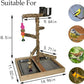 Tfwadmx Bird Perch Natural Wood Stand Parakeet Playground Toy Parrot Play Stand Platform Bird Cage Branch Perch Accessories for Canaries Cockatiels Conure Lovebirds