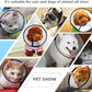 Plastic Pet Recovery Collars & Cones for Dogs and Cats After Surgery Adjustable Dog Neck Cone Surgical Elizabeth E-Collar Prevent Biting and Stop Licking Wound (XS)