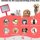 Dog Slicker Brush for Shedding and Grooming Medium or Long Haired Cats, Extra Long & Soft Pin Slicker Brush for Removes Loose Hair, Tangles, Knots, Undercoat, Free Pet Comb, Large Red