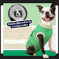 FUAMEY Dog Recovery Suit Male,Dogs Surgery Neuter Suits Puppy Spay Shirts for Female Protect Dog's Skin Anti Licking Abdominal Wounds Doggie Onesie Pet Bodysuit Alternative to Cone Green Stripes XXL