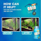 KOIKA OBIO Aquarium Water Treatment, Quick Effect (After 8-10 Hours), Improvement of Digestion and Immune Systems of Fish & Shrimp (Liquid, 180ml (6.08 fl oz))
