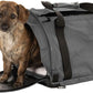 SturdiBag Pro 2.0 Pet Travel Carrier with Flexible Height for Cats and Dogs | Soft Sided Pet Carrier Bag with Safety Clips and Seatbelt Straps for Airplane or Car Travel | Medium, Smoke