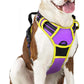 rabbitgoo Dog Harness No Pull with 2 Leash Clips, Adjustable Soft Padded, Reflective Oxford No Choke Pet Vest with Easy Control Handle for Large Dogs, Purple & Yellow, L