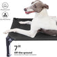 pettycare Elevated Outdoor Dog Bed - Dog Cots for Medium Pet, Heavy Duty Raised Cot Waterproof, Cooling Pets Bed with Washable Durable Teslin Mesh and Non Slip Feet, 32 Inches, Black