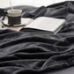 Bedsure Fleece Blanket Twin Size Dark Grey - 300GSM Lightweight Plush Fuzzy Cozy Soft Warm Blanket for Bed, Sofa, Couch, Travel, Camping, 60x80 inches