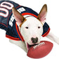 NFL Chicago Bears Dog Jersey, Size: X-Small - Best Football Costume for Dogs & Cats - Licensed Shirt