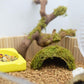 Hamster Hideaway/Hideout,Mossy Cave Hide,Hamster House/Hides,Hamster Cage Accessories for Gguinea Pig/Hedgehogs/Gliders/Rats/Mice and Other Small Animals(Set)