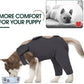 Kuoser Dog Surgery Recovery Suit - Thigh Wound Protective Sleeve for Female & Male Dogs, Pet Surgical Onesie for Spay/Neuter, Gray XXL
