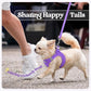 rabbitgoo Dog Harness Small Sized and Leash Set, Step in Soft Light Puppy Vest, Breathable Mesh Pet Harness, Reflective for Safe Outdoor Walking, Purple S