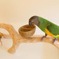 Deluxe Tabletop Perfect Tree (with Bowl) - Tree Stand for Parakeets and Small Parrots