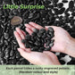 SIDONG 10 LB Black River Rocks, 0.3-0.5 Inches High Polished Pebbles for Indoor Plants, Aquarium Rocks Used in Fish Tank, Decorative Stones for Plants, Vases, Home Décor, Crafting, Garden Landscaping