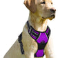 BARKBAY No Pull Dog Harness Front Clip Heavy Duty Reflective Easy Control Handle for Large Dog Walking(Purple,S)