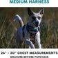 Embark Adventure Dog Harness, Reflective Trim No Pull Harness for Medium Sized Dog - Military Grade Nylon, Front Clip with Gel Lined Handle. Soft & Padded Puppy