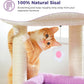 PEQULTI Cat Tree Flower Cat Tower for Indoor Cats with Private Cozy Cat Condo, Natural Sisal Scratching Posts and Plush Pom-pom for Small Cats, Purple