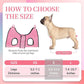 PatiencET Dog Grooming Hammock, Pet Grooming Hammock for Cats & Dogs with Security Strap, Dog Sling for Nail Trimming with Nail Clippers/Trimmer, Nail File, Pet Comb(Pink S)