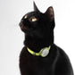 Safety Cat Collar Pro - U.S. IDA Gold Awarding Design, Elastic Quick Release Cat Collar with Buckle Non Breakaway - Lightweight for Kitten All Small Large Cats (Sierra Blue, M 7.9-15.7")