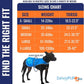 Dog Reflective Vest – Hi-Vis Fluorescent Visibility That Helps to Safeguard Your Pet On/Off Leash in Urban & Rural Areas (Blue, X-Small)
