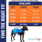 Dog Reflective Vest – Hi-Vis Fluorescent Visibility That Helps to Safeguard Your Pet On/Off Leash in Urban & Rural Areas (Blue, X-Large)