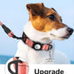 TagME Airtag Dog Collar,Waterproof Reflective Pet Collar with Airtag Holder,Soft Padded and Double D-Rings for Small Dogs,Baby Pink