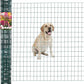 Green PVC Coated Welded Wire Fence 48 Inch x 25 Foot, 2 Inch x 3 Inch 16GA, Garden Border Fencing Roll Vinyl Coating Metal Wire Mesh for Yard Vegetable Plant Protection Poultry Netting