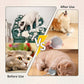 Chewie Viral Rolling Ball, Interactive Cat Toys Ball for Indoor, Cats Interactive Self Rolling Ball Dog Ball Automatic Cat Toy 360° Smart Automatic Rolling Pet Ball (Grey)