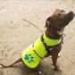 Dog Reflective Vest – Hi-Vis Fluorescent Visibility That Helps to Safeguard Your Pet On/Off Leash in Urban & Rural Areas (Yellow, Large)