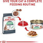 Royal Canin Digestive Care Thin Slices in Gravy Wet Cat Food, 3 Ounce (Pack of 6) - Package May Vary