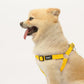 PUPTECK No Pull Dog Harness Soft Adjustable Basic Nylon Step in Puppy Vest Outdoor Walking with ID Tag, Yellow, L