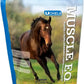 Uckele by SmartEquine Muscle EQ™ Powder | Muscle Supplement with L-Carnitine for Horses | Amino Acid Beta-Alanine for Optimal Muscle Function & Supports Recovery | 4.3 lb Bag