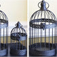 Vela Lanterns Bird Cage Decor Candle Holder Lantern Decorative Table Centerpiece Halloween Decorations, Black, Set of 4