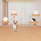 Full Metal Freestanding Dog Gate with Door, 24'' Height Foldable Pet Dog Fence for Indoor & Outdoor, 6 Panels Extra Wide Free Standing SmallDog Gates for Doorways,House,Stairs,Porch,Deck,Yard