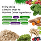 Paradise Herbs ORAC Energy Protein & Greens Powder, Antioxidant Power of 24 Servings of Fruits & Vegetables in 1 Scoop + 20g Protein, Unflavored, 15 Servings